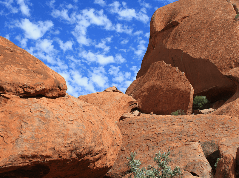 National Rock Garden Website Refresh